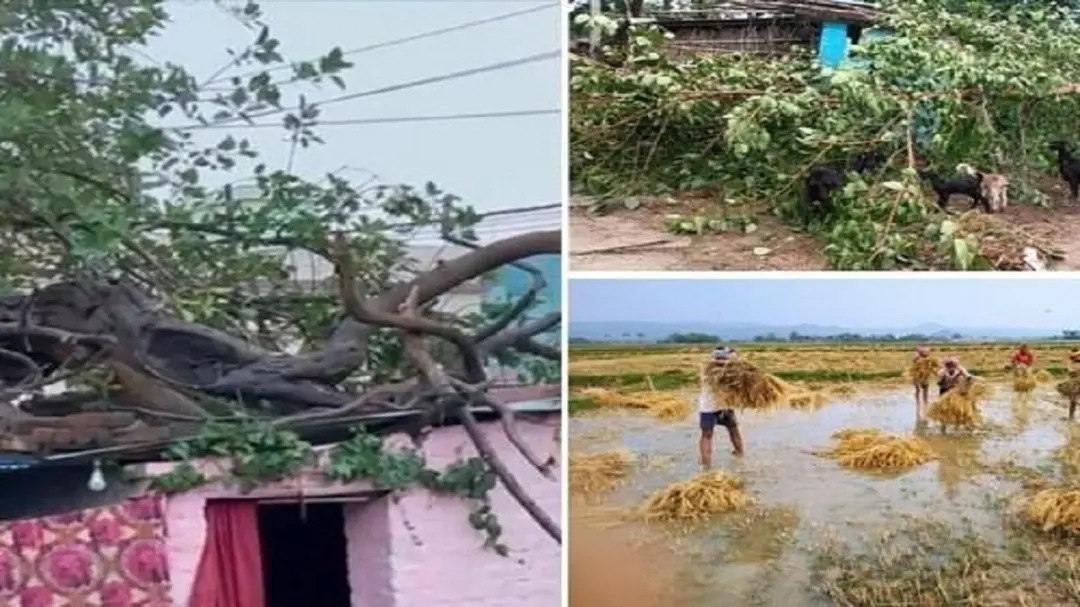 બિહારમાં આંધી અને ભારે વરસાદથી ત્રણના મોત, હવાઈ અને રેલ સેવાઓ પ્રભાવિત
