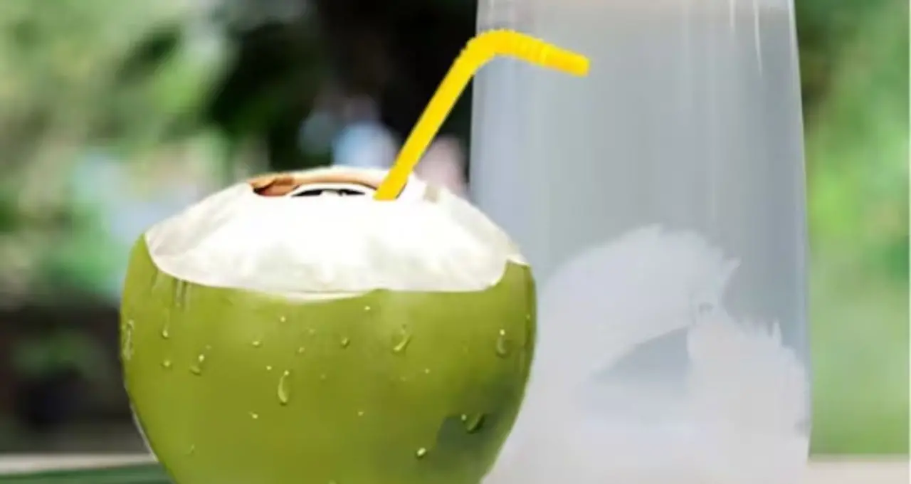 Coconut Water: গরমে স্বস্তির পানীয় হলেও সাবধান! ডাবের জল কারা একেবারেই খাবেন না? জানুন বিস্তারিত
