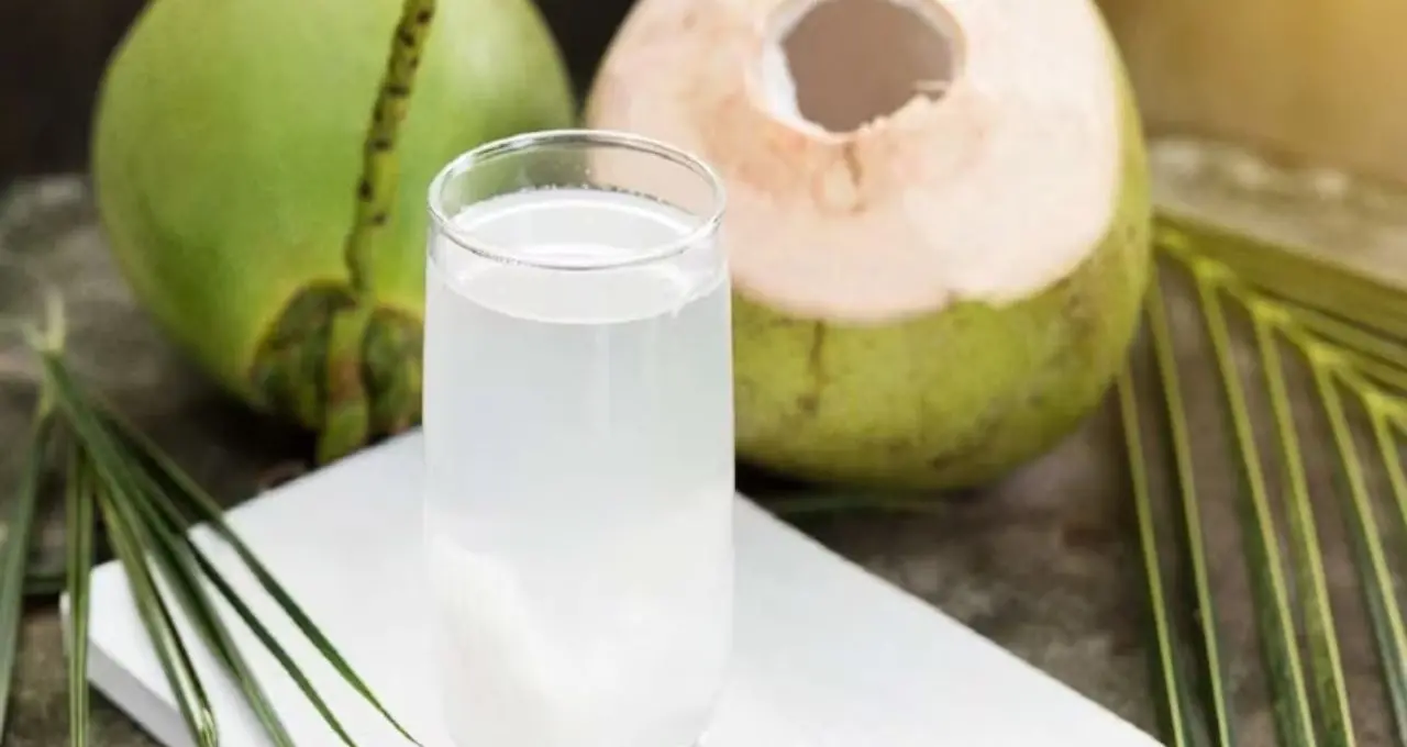 Coconut Water: গরমে স্বস্তির পানীয় হলেও সাবধান! ডাবের জল কারা একেবারেই খাবেন না? জানুন বিস্তারিত
