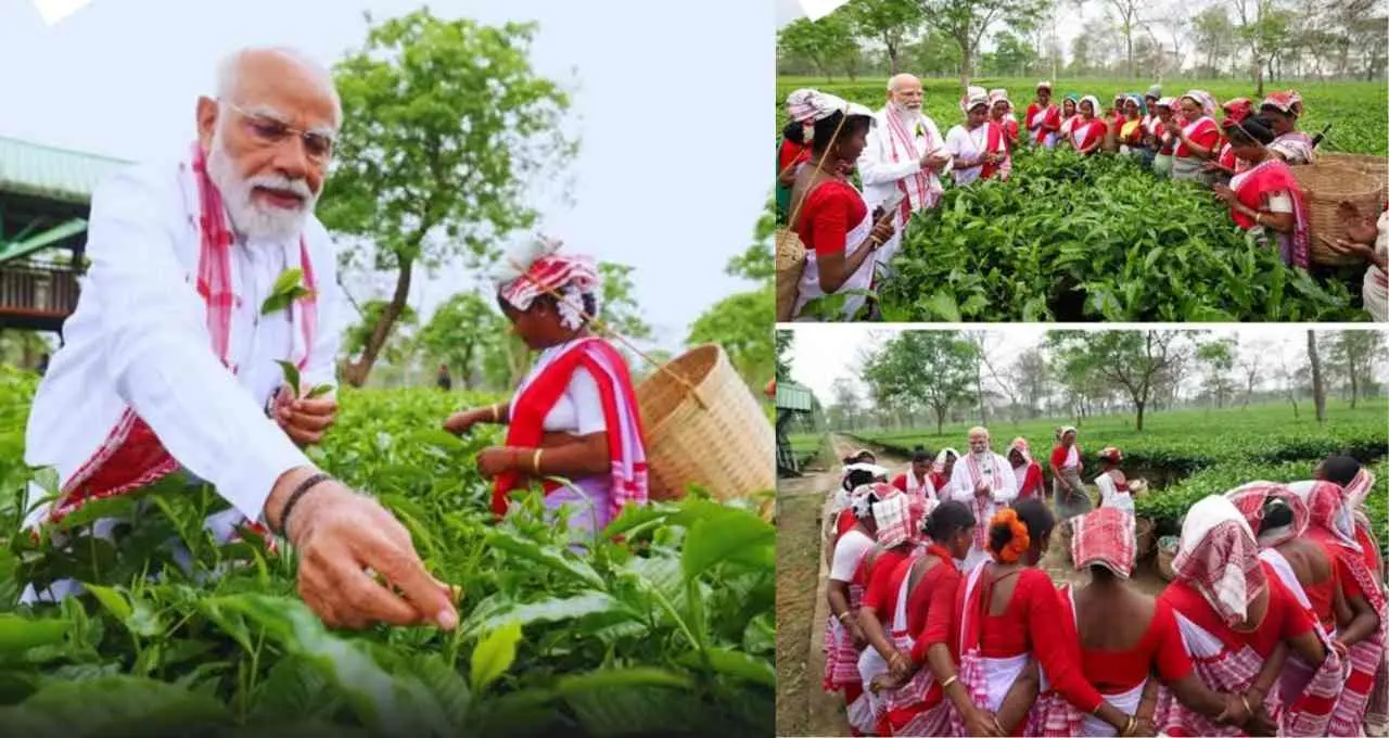 Narendra Modi का असम के चाय बागान में अनोखा अंदाज, काम करने वाली महिलाओं के साथ ली सेल्फी