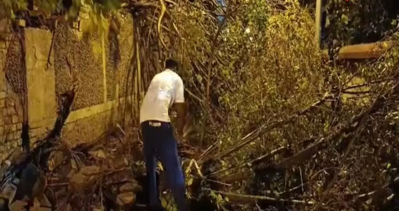 কালবৈশাখীর তাণ্ডবে বিপর্যস্ত হাওড়া! ঝড়ে উপড়ে গাছ, অন্ধকারে একাধিক এলাকা
