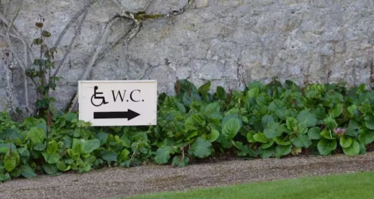 টয়লেটের বাইরে ‘WC’ কেন লেখা থাকে? ৯৯% মানুষই জানেন না এর আসল অর্থ!
