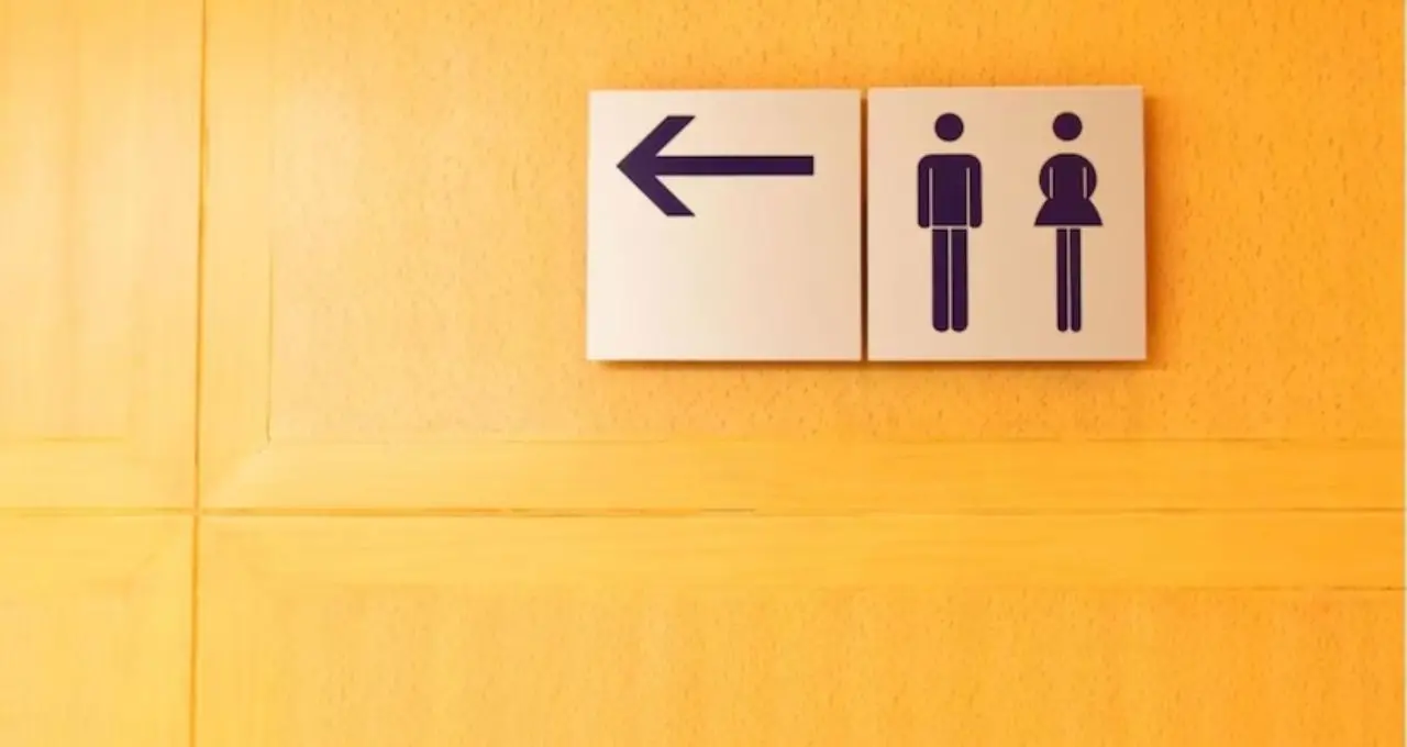 টয়লেটের বাইরে ‘WC’ কেন লেখা থাকে? ৯৯% মানুষই জানেন না এর আসল অর্থ!
