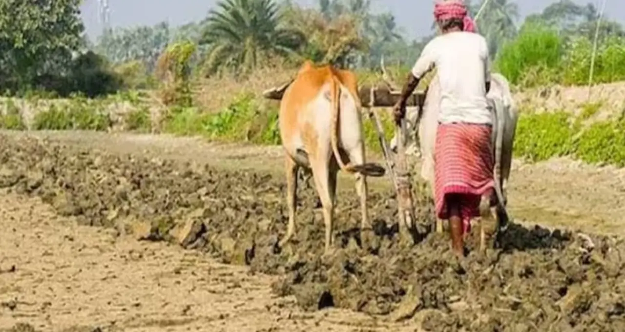 PM Kisan: ২৩তম কিস্তির টাকা কবে? কারা বঞ্চিত হতে পারেন—জেনে নিন সম্পূর্ণ তথ্য

