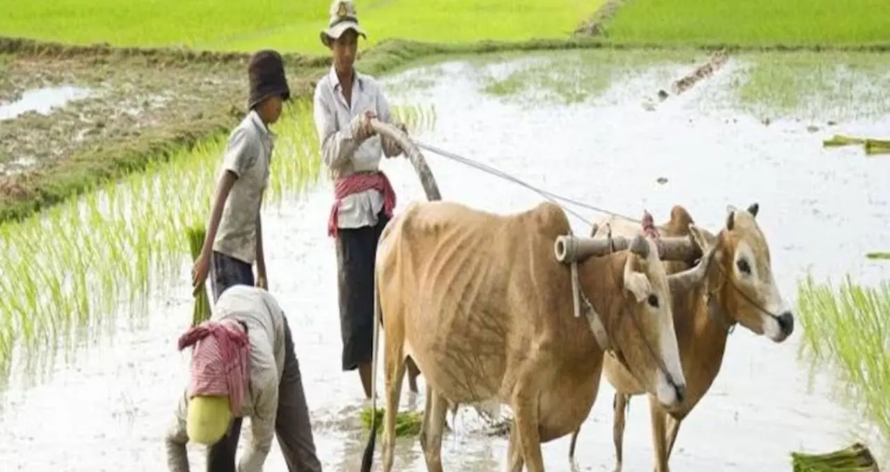 PM Kisan: ২৩তম কিস্তির টাকা কবে? কারা বঞ্চিত হতে পারেন—জেনে নিন সম্পূর্ণ তথ্য
