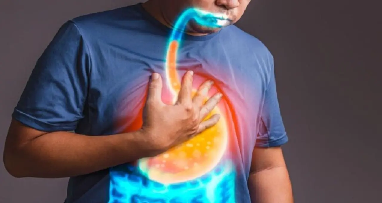 Good Health Signs: শরীর সুস্থ আছে কিনা বুঝবেন কীভাবে? চিকিৎসকের মতে এই ১০ লক্ষণই আসল ইঙ্গিত

