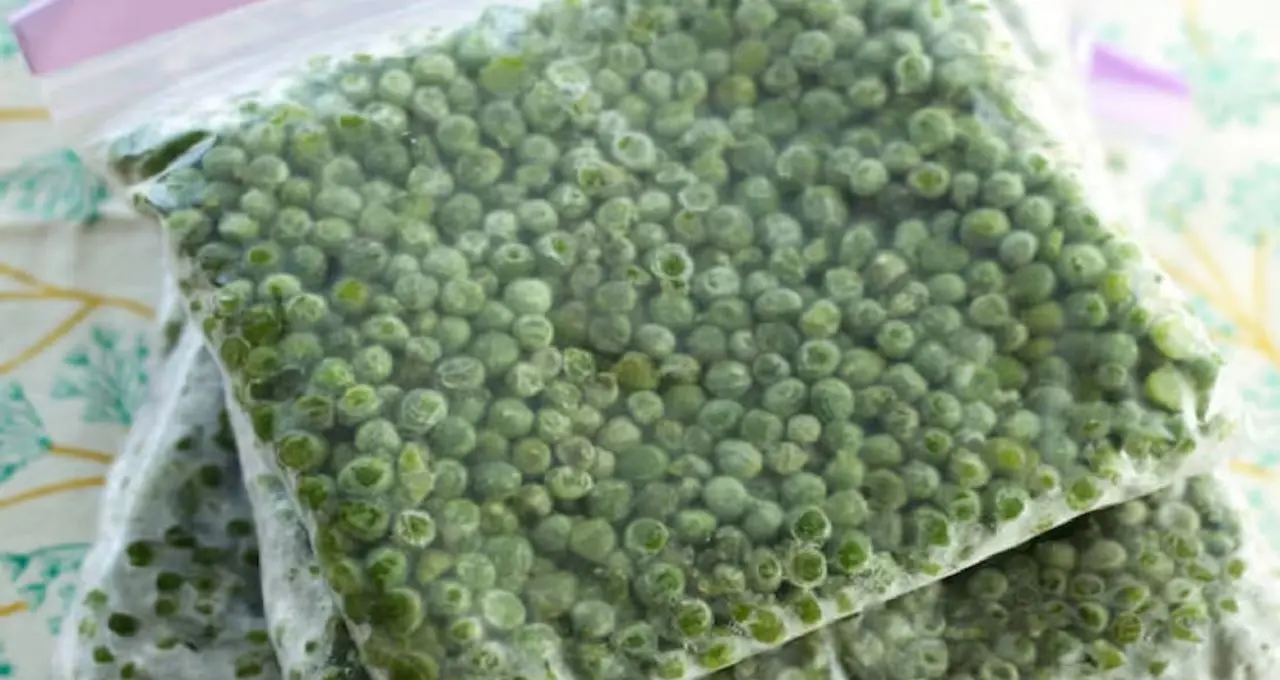 Frozen Peas Business: ২০ টাকার মটরশুঁটি কীভাবে ২০০ টাকায়! ফ্রোজেন প্রসেসিং-এই বদলাচ্ছে কৃষকের ভাগ্য
