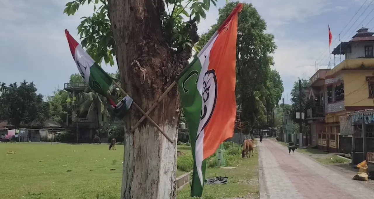 Jalpaiguri News: ভোটের আগে গাছে পেরেক! ‘নীরব প্রাণের’ উপর অত্যাচারে ক্ষোভে ফুঁসছে জলপাইগুড়ি

