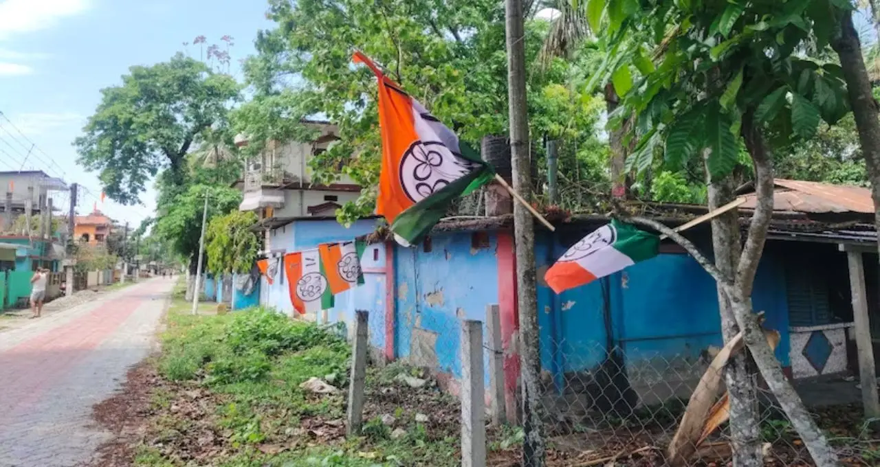 Jalpaiguri News: ভোটের আগে গাছে পেরেক! ‘নীরব প্রাণের’ উপর অত্যাচারে ক্ষোভে ফুঁসছে জলপাইগুড়ি
