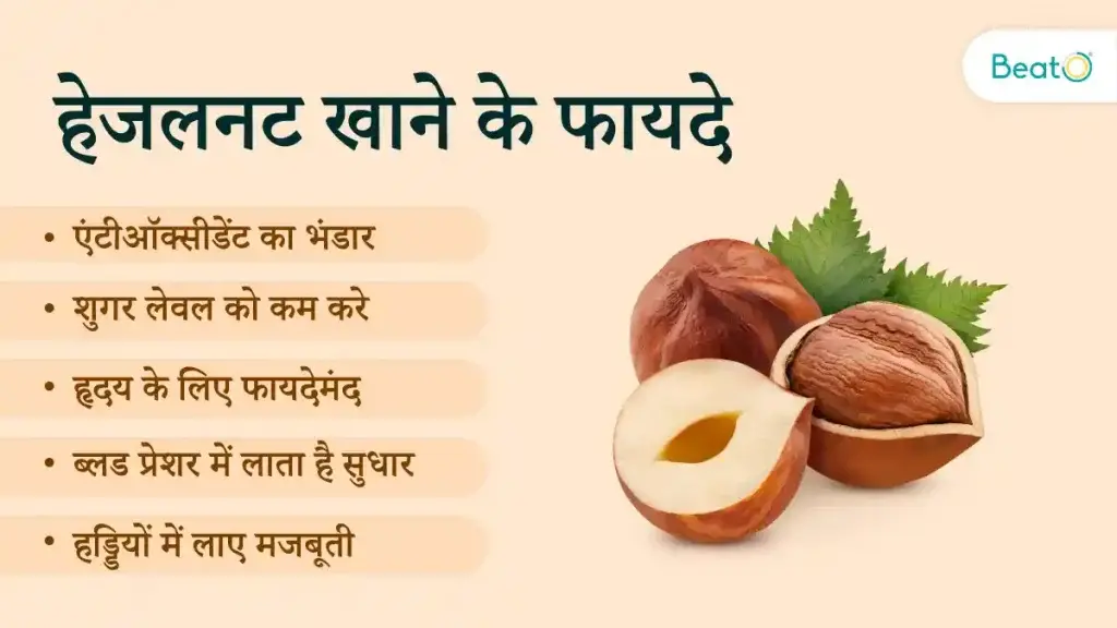 उबले हुए हेज़लनट्स के फायदे: पाचन, दिल और त्वचा के लिए क्यों हैं फायदेमंद, जानें सेवन का सही तरीका
