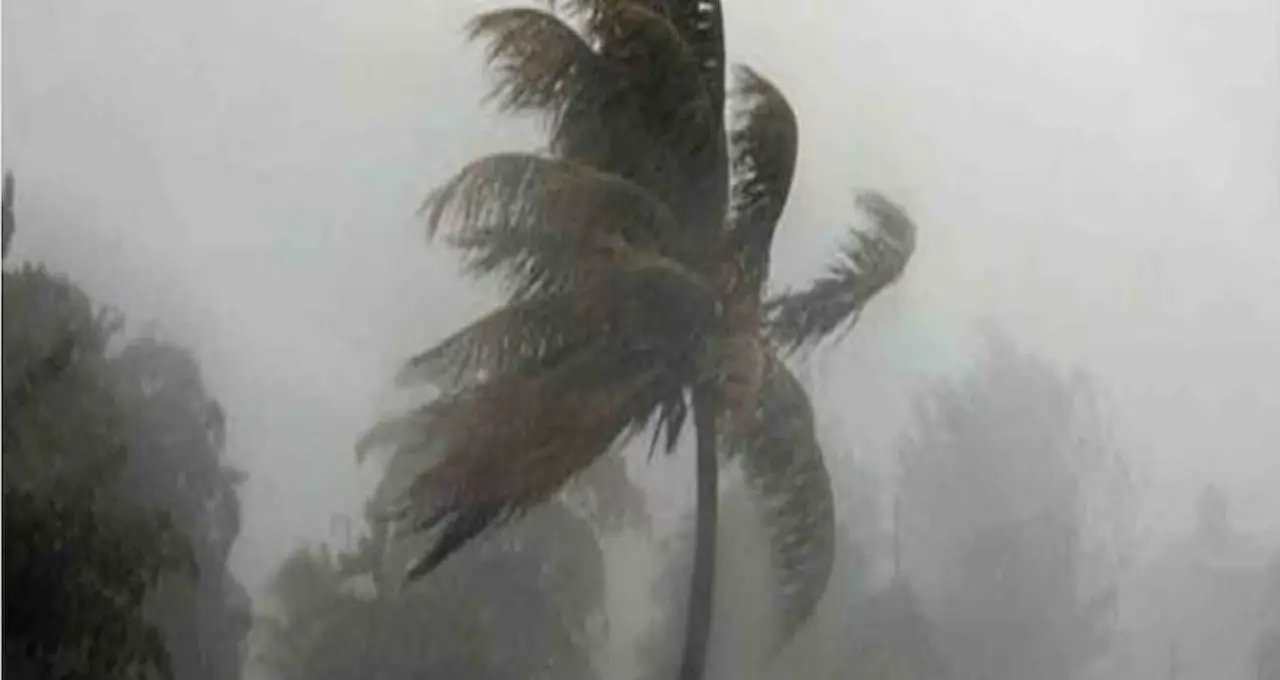 IMD Weather Forecast: দিনে রোদে পুড়বে বাংলা, বিকেলে কালবৈশাখীর ছোঁয়া? কোন কোন জেলায় বৃষ্টি, কোথায় বাড়বে তাপমাত্রা