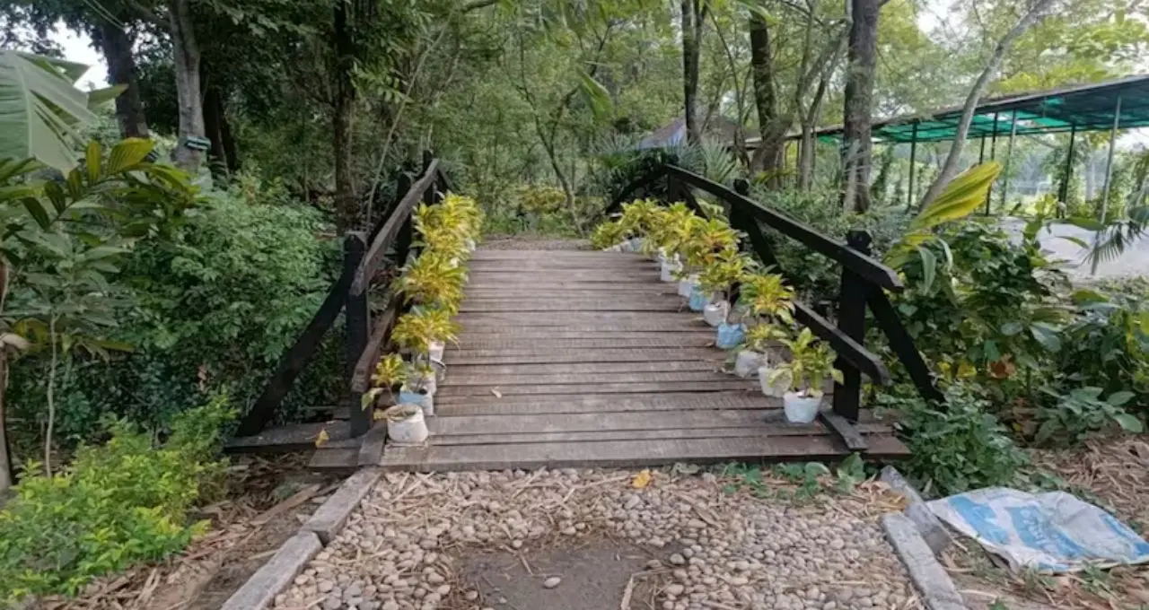 গরমে হাঁসফাঁস? মাত্র ৬০ টাকায় পৌঁছে যান বুড়ুল—প্রজাপতি পার্কে কাটান দারুণ উইকএন্ড
