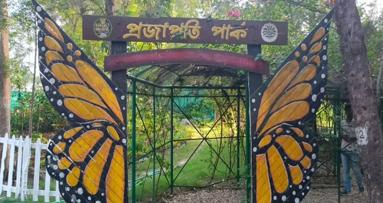 গরমে হাঁসফাঁস? মাত্র ৬০ টাকায় পৌঁছে যান বুড়ুল—প্রজাপতি পার্কে কাটান দারুণ উইকএন্ড
