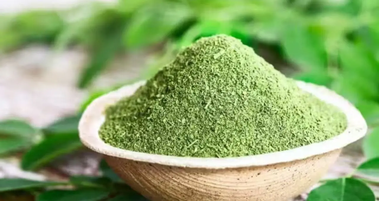 Sojne or Moringa In Blood Sugar: ডায়াবেটিসে সজনে খাওয়া কি নিরাপদ? সত্যিটা জানলে অবাক হবেন!

