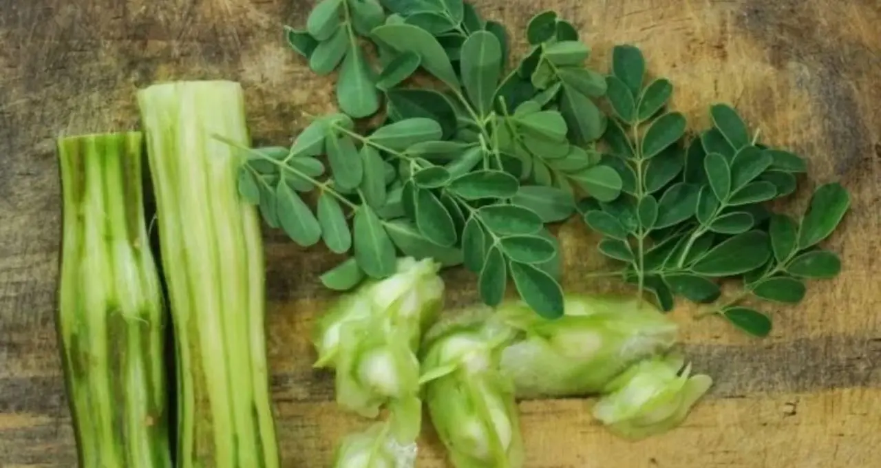 Sojne or Moringa In Blood Sugar: ডায়াবেটিসে সজনে খাওয়া কি নিরাপদ? সত্যিটা জানলে অবাক হবেন!
