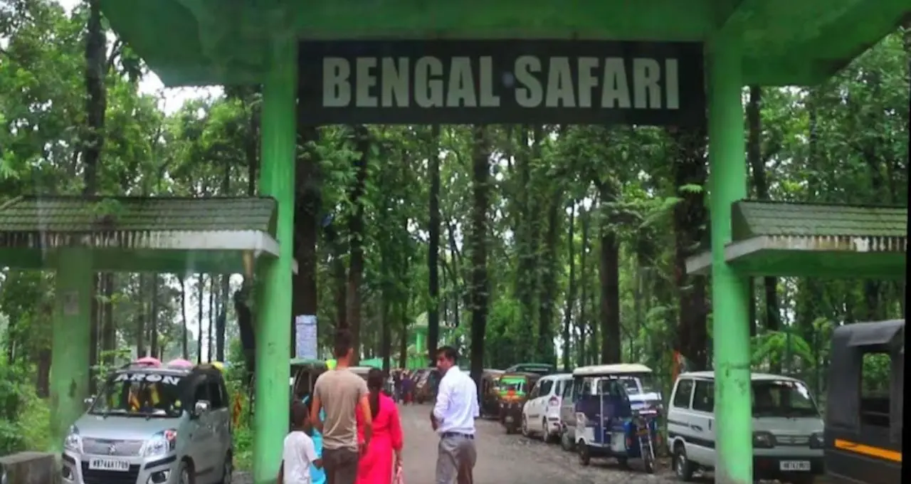 চিরবিদায় ‘ভীম’! বেঙ্গল সাফারি পার্কে স্তব্ধতা, একমাত্র গন্ডারের মৃত্যুতে শোকের ছায়া
