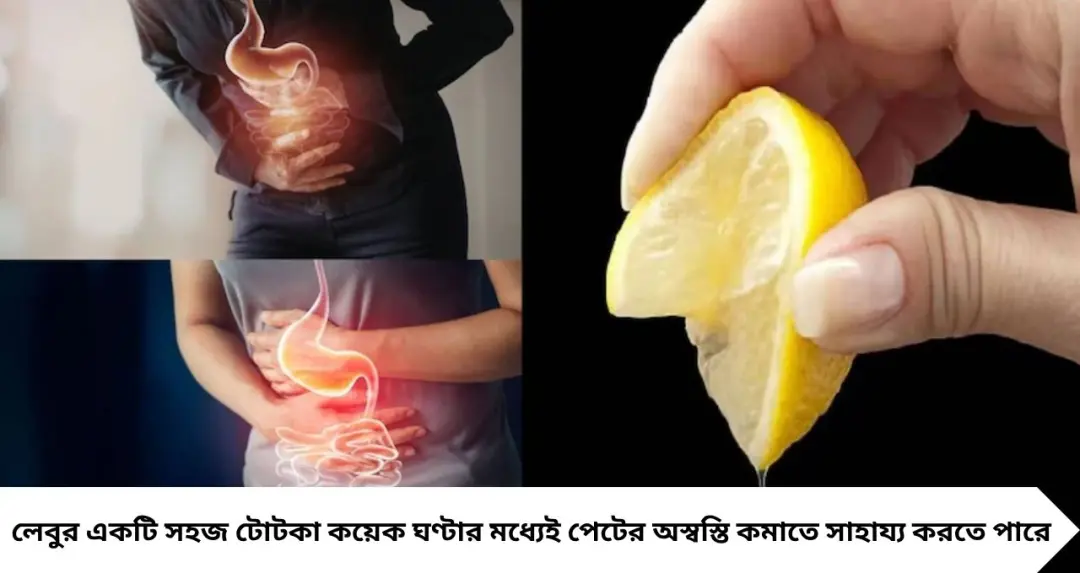 Gas Relief Tips: আধ ফালি লেবু-তেই মিলবে আরাম! গ্যাস-অম্বল, পেট ফাঁপার সমস্যায় ঘরোয়া সহজ টোটকা
