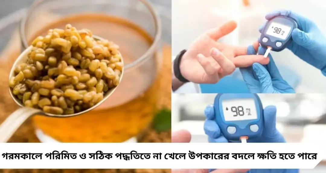 ব্লাড সুগার কমাতে অতিরিক্ত মেথি? উপকারের বদলে বিপদ! জানুন সঠিক নিয়মে Fenugreek seeds খাওয়ার উপায়
