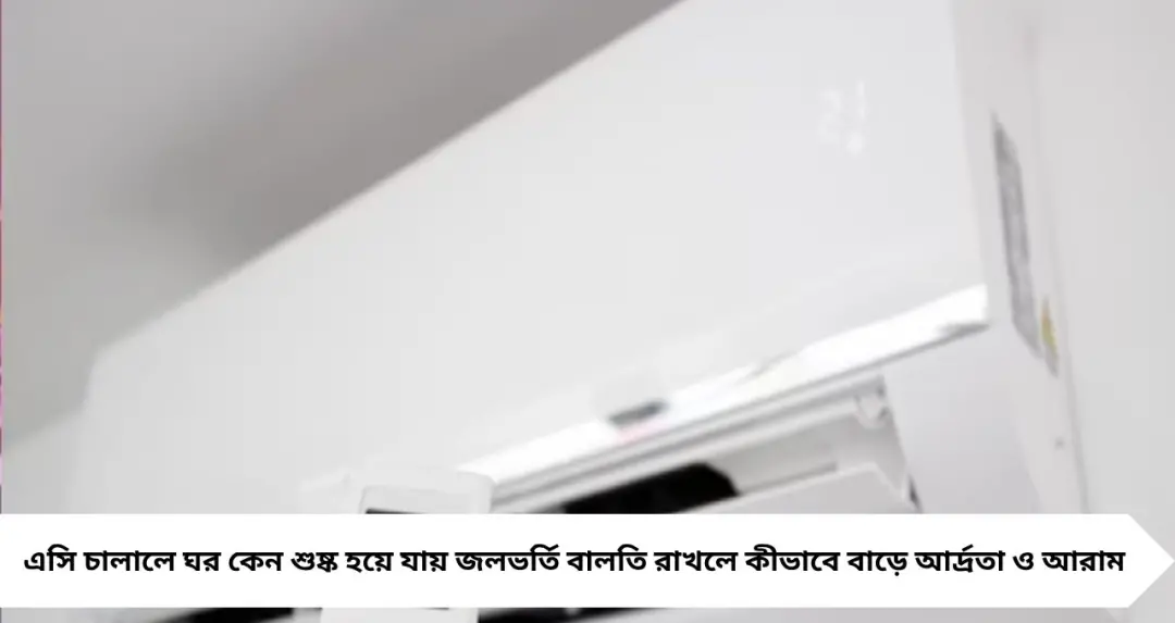 এসি ঘরে জলভর্তি বালতি! ভাইরাল ট্রেন্ডের নেপথ্যে বিজ্ঞান—শুষ্কতা কমিয়ে বাড়াচ্ছে আরাম
