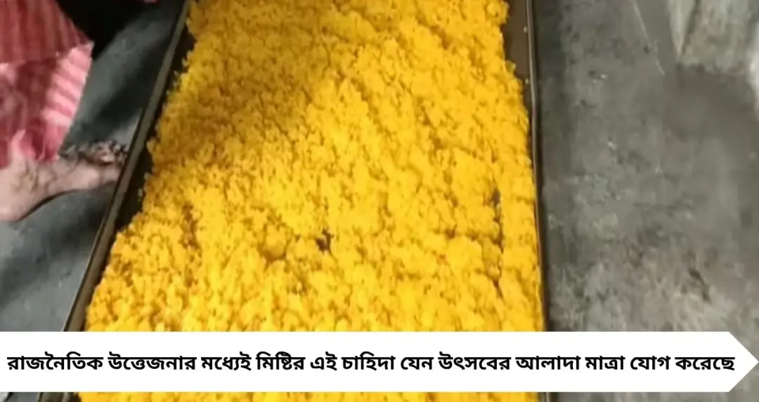 ভোটের দিনেই ‘মিষ্টি সংকট’! লাড্ডুর চাহিদায় জেলাজুড়ে হাহাকার, রাতারাতি উৎপাদন বাড়াতে হিমশিম ব্যবসায়ীরা

