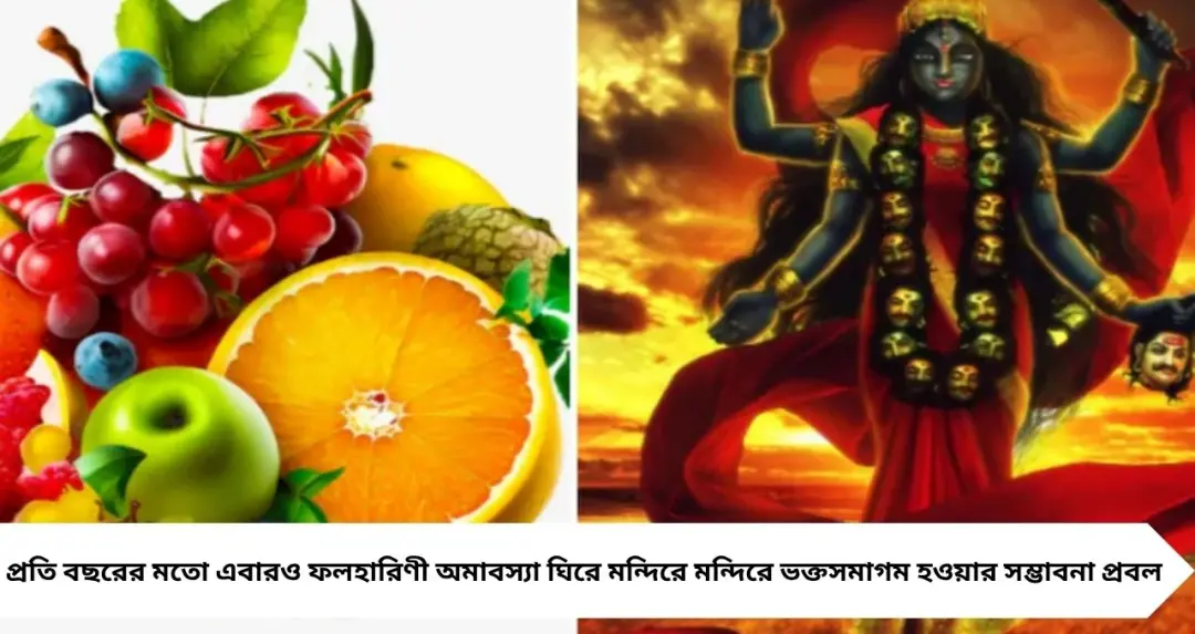 ফলহারিণী কালীপুজো ২০২৬: জ্যৈষ্ঠ অমাবস্যায় মা কালীর আরাধনা, কবে পুজো? জেনে নিন শুভ সময় ও তিথির সম্পূর্ণ নির্ঘণ্ট