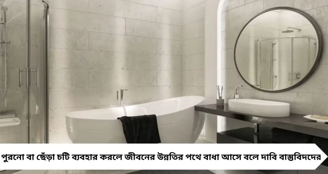 Bathroom Vastu Tips: বাথরুমে এই ৫ জিনিস রাখলেই ডেকে আনছেন অশান্তি! বাস্তুমতে এক ভুলেই বাড়তে পারে আর্থিক সঙ্কট
