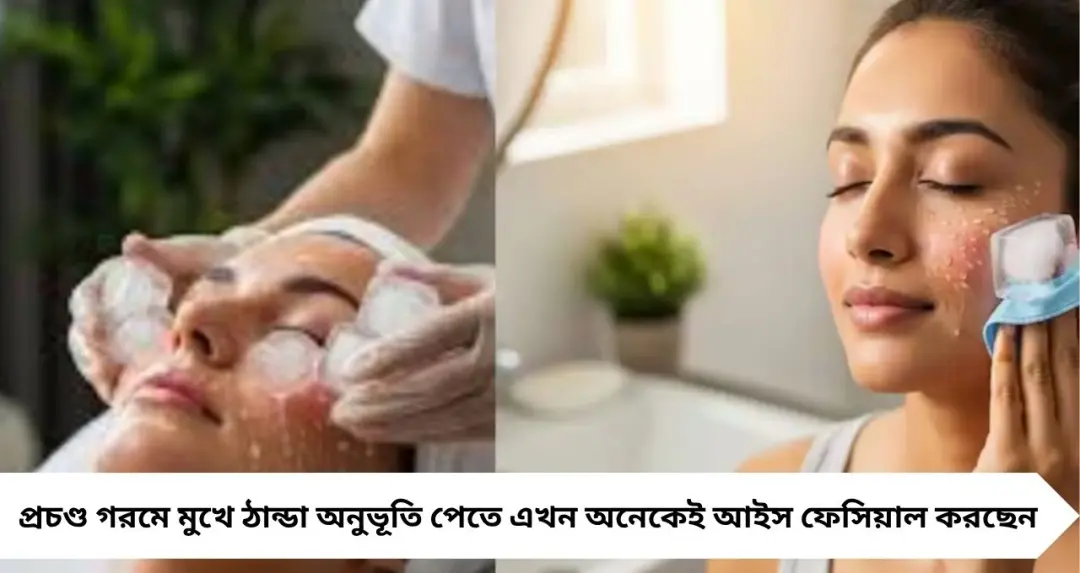 Ice Facial Side Effects: গরমে মুখে বরফ ঘষছেন? সাবধান! এই ধরনের ত্বকে বাড়তে পারে বড় ক্ষতি
