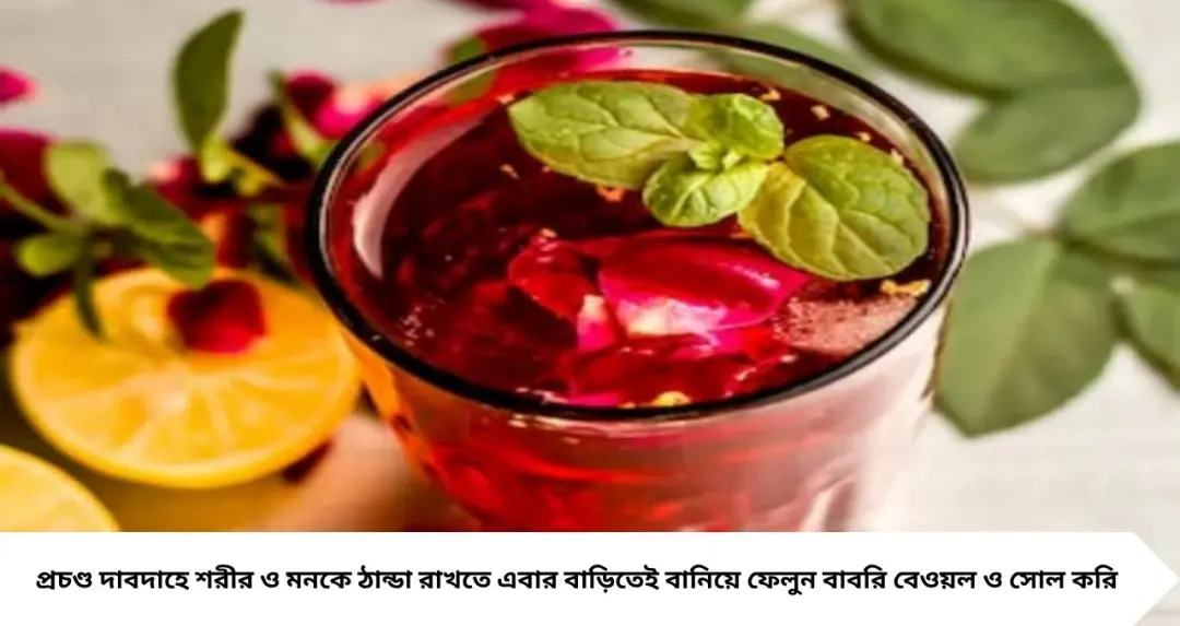 Summer Tips: দাবদাহে স্বস্তি দেবে ‘বাবরি বেওয়ল’ ও ‘সোল করি’! ঘরেই বানান ভিন্ন স্বাদের ঠান্ডা শরবত
