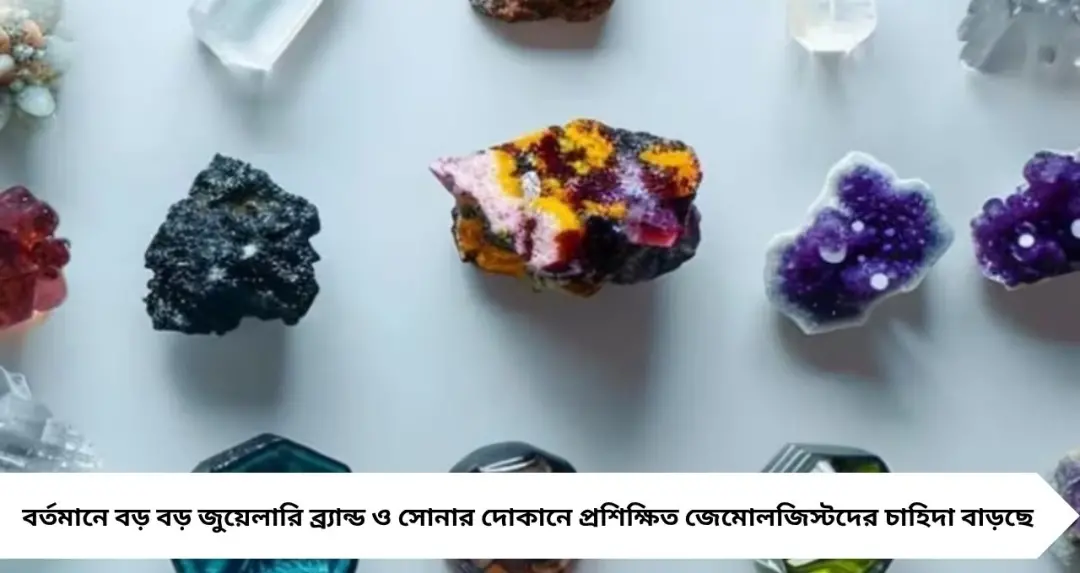 Gemology Career: উচ্চ মাধ্যমিকের পর জেমোলজি নিয়ে পড়াশোনা! রত্ন চিনেই গড়তে পারেন উজ্জ্বল কেরিয়ার
