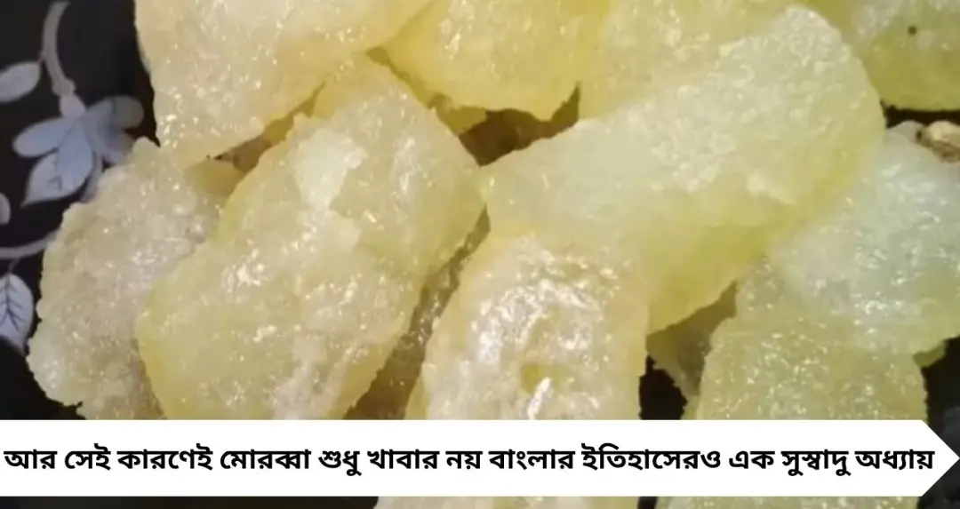 চালকুমড়ো থেকে আমলকী! নবাবি রান্নাঘরেই জন্ম ‘মোরব্বা’র, বীরভূমের ইতিহাসে লুকিয়ে মিষ্টির চমক
