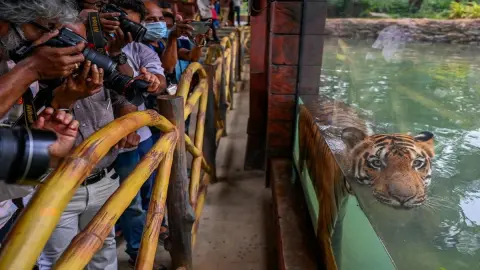 उत्तर प्रदेशात 46.4 अंश तापमान, 48 जिल्ह्यांमध्ये उष्णतेच्या लाटेचा इशारा