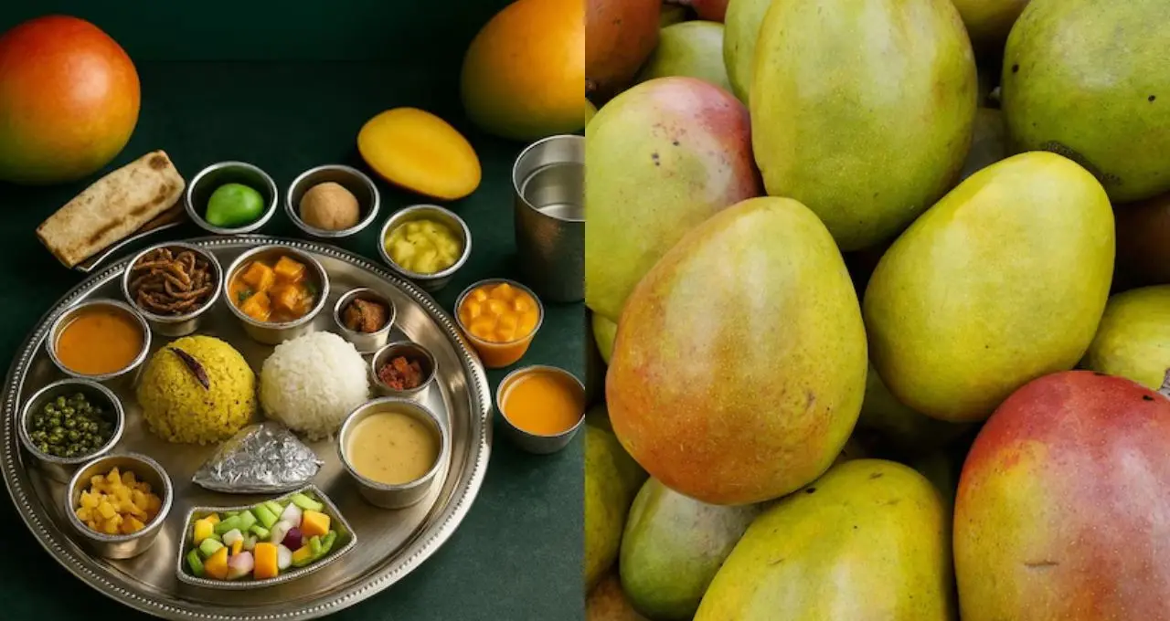 নবাবি আমের গন্ধে মাতবে মুর্শিদাবাদ! শুরু হচ্ছে ‘মুর্শিদাবাদ ম্যাঙ্গো ফেস্টিভ্যাল ২০২৬’
