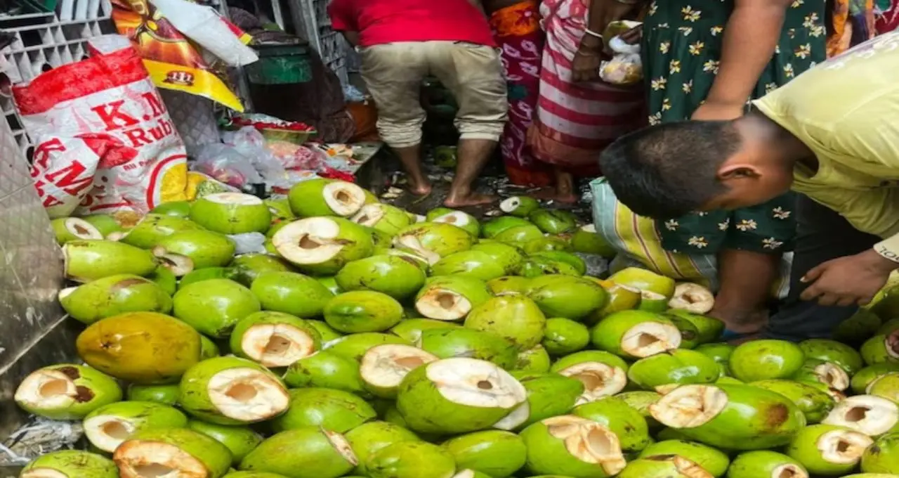 Shitala Puja: ৫০০০ ডাবের জলে দেবীর আরাধনা! বৈশাখের শীতলা পুজোয় উৎসবের রঙে মেতে উঠল জয়নগর
