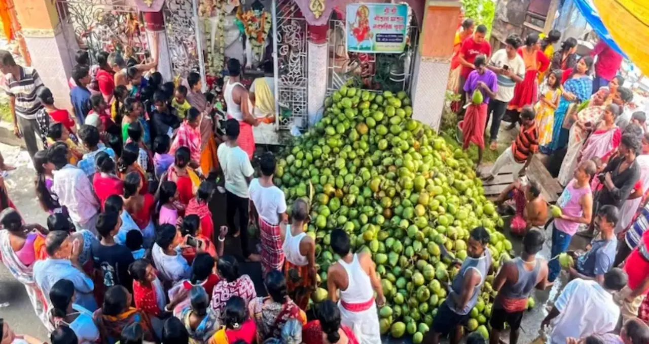 Shitala Puja: ৫০০০ ডাবের জলে দেবীর আরাধনা! বৈশাখের শীতলা পুজোয় উৎসবের রঙে মেতে উঠল জয়নগর
