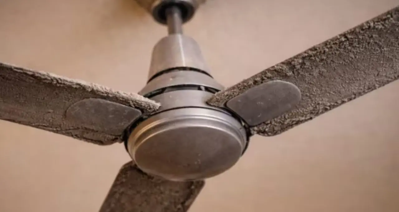 Ceiling Fan Cleaning: মই ছাড়াই মিনিটে সাফ সিলিং ফ্যান! ভাইরাল নতুন টেকনিকে ময়লা পরিষ্কার হবে সহজে
