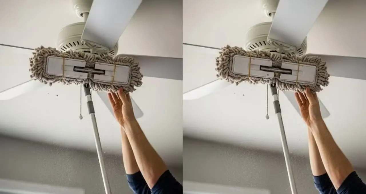 Ceiling Fan Cleaning: মই ছাড়াই মিনিটে সাফ সিলিং ফ্যান! ভাইরাল নতুন টেকনিকে ময়লা পরিষ্কার হবে সহজে
