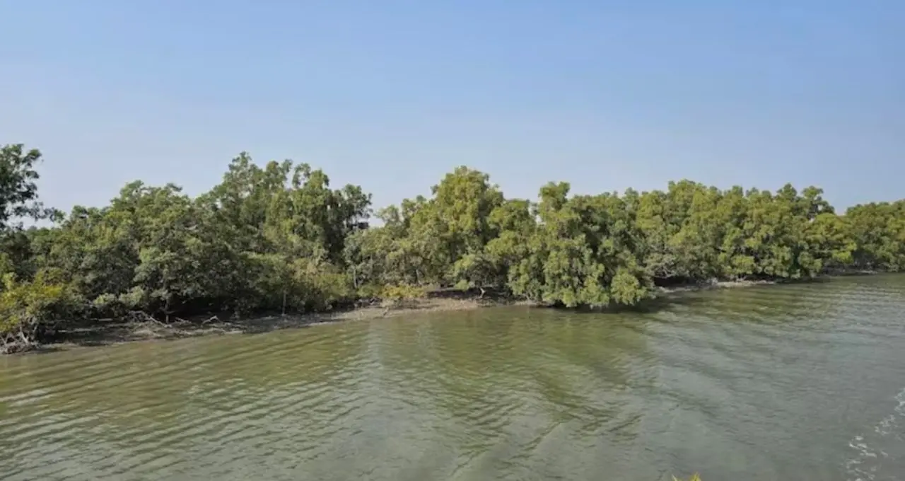 বর্ষা নামলেই বন্ধ হবে পথ! সুন্দরবনের ‘লুকানো স্বর্গ’ চুলকাঠি-ধুলাভাসানিতে এখনই ঘুরে আসুন

