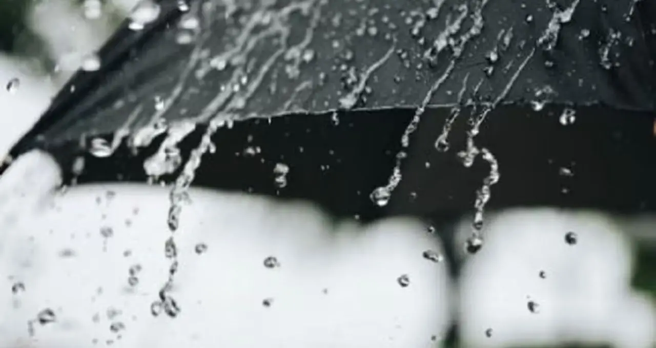 Weather Update: আন্দামানে ঢুকল বর্ষা! বাংলায় কবে মিলবে ভ্যাপসা গরম থেকে স্বস্তি? ঝড়বৃষ্টি নিয়ে বড় আপডেট আবহাওয়া দফতরের

