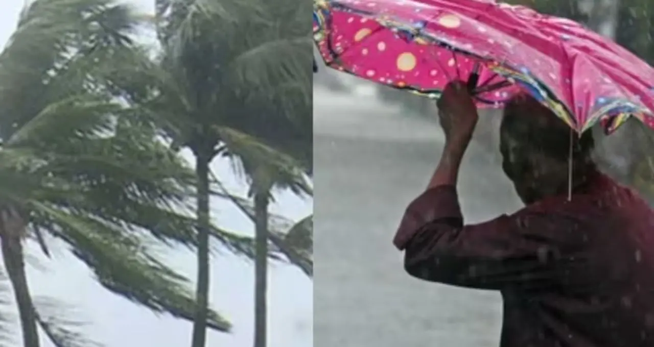 Weather Update: আন্দামানে ঢুকল বর্ষা! বাংলায় কবে মিলবে ভ্যাপসা গরম থেকে স্বস্তি? ঝড়বৃষ্টি নিয়ে বড় আপডেট আবহাওয়া দফতরের

