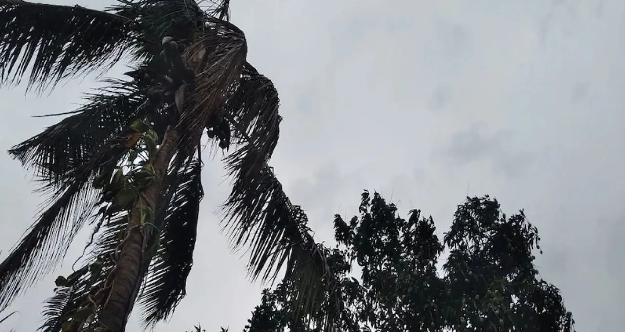 IMD Weather Update: উত্তরবঙ্গে ভারী বৃষ্টির সতর্কতা, দক্ষিণবঙ্গেও বজ্রবিদ্যুৎ-সহ ঝড়ের পূর্বাভাস! বাড়বে অস্বস্তিকর গরম
