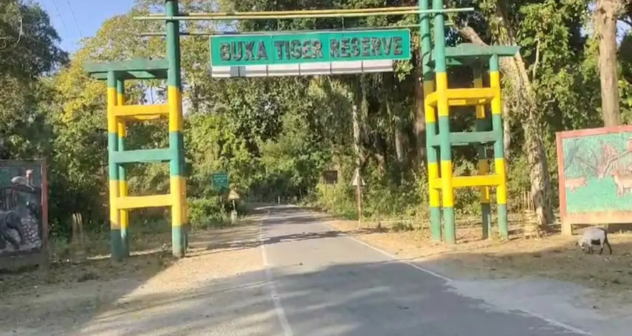ডুয়ার্সের গোপন স্বর্গ ‘পোখরি’! জয়ন্তীর জঙ্গলে লুকিয়ে রহস্যময় পবিত্র লেক, দেখলেই মুগ্ধ হবেন পর্যটকরা
