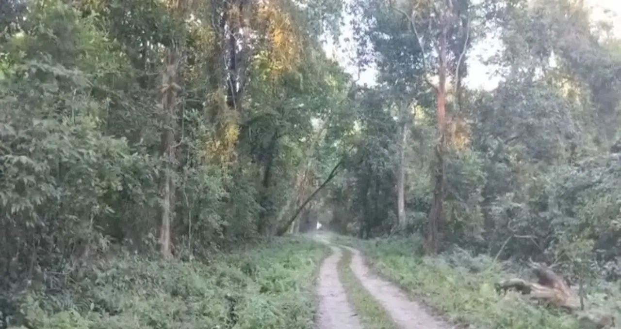 ডুয়ার্সের গোপন স্বর্গ ‘পোখরি’! জয়ন্তীর জঙ্গলে লুকিয়ে রহস্যময় পবিত্র লেক, দেখলেই মুগ্ধ হবেন পর্যটকরা
