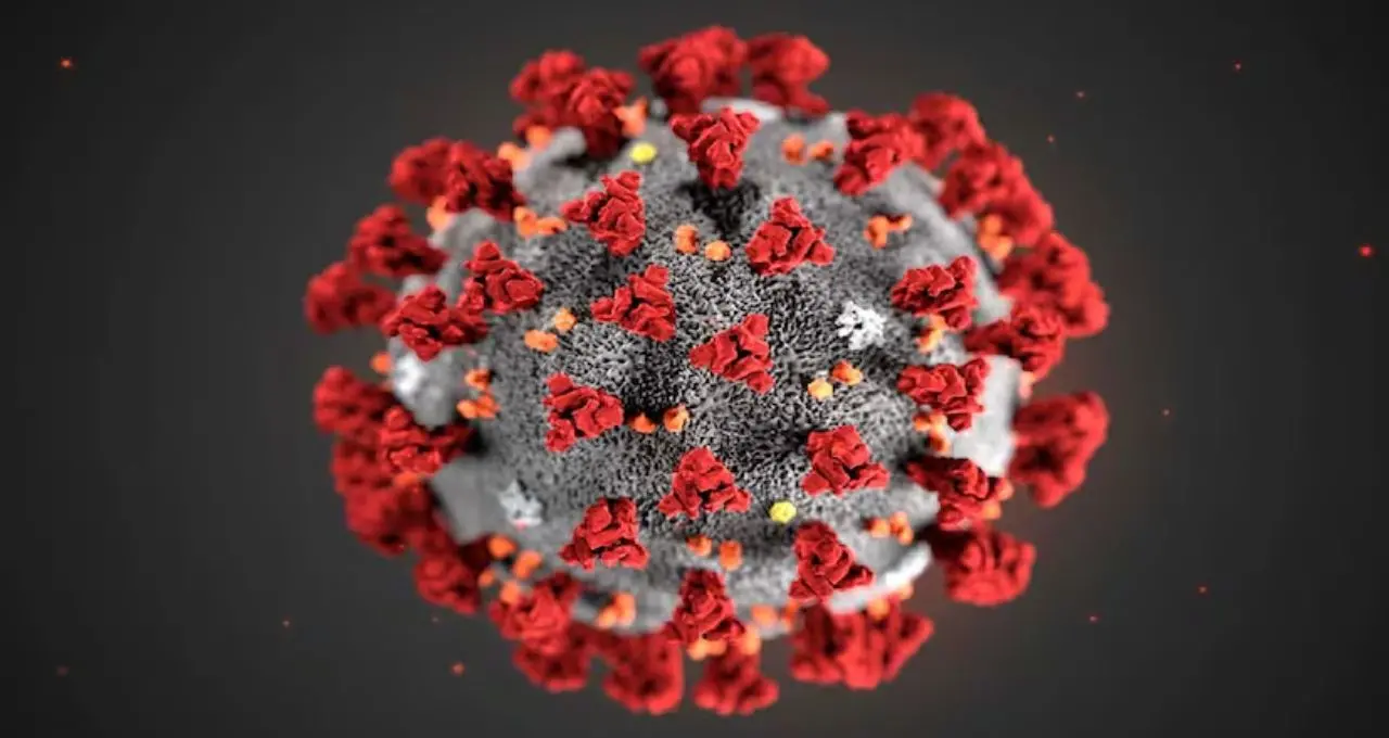 HIV চিকিৎসায় নতুন দিগন্ত! রোগপ্রতিরোধী কোষকেই ‘জীবন্ত অস্ত্র’ বানিয়ে সংক্রমণ দমনের আশার আলো দেখাল CAR-T থেরাপি
