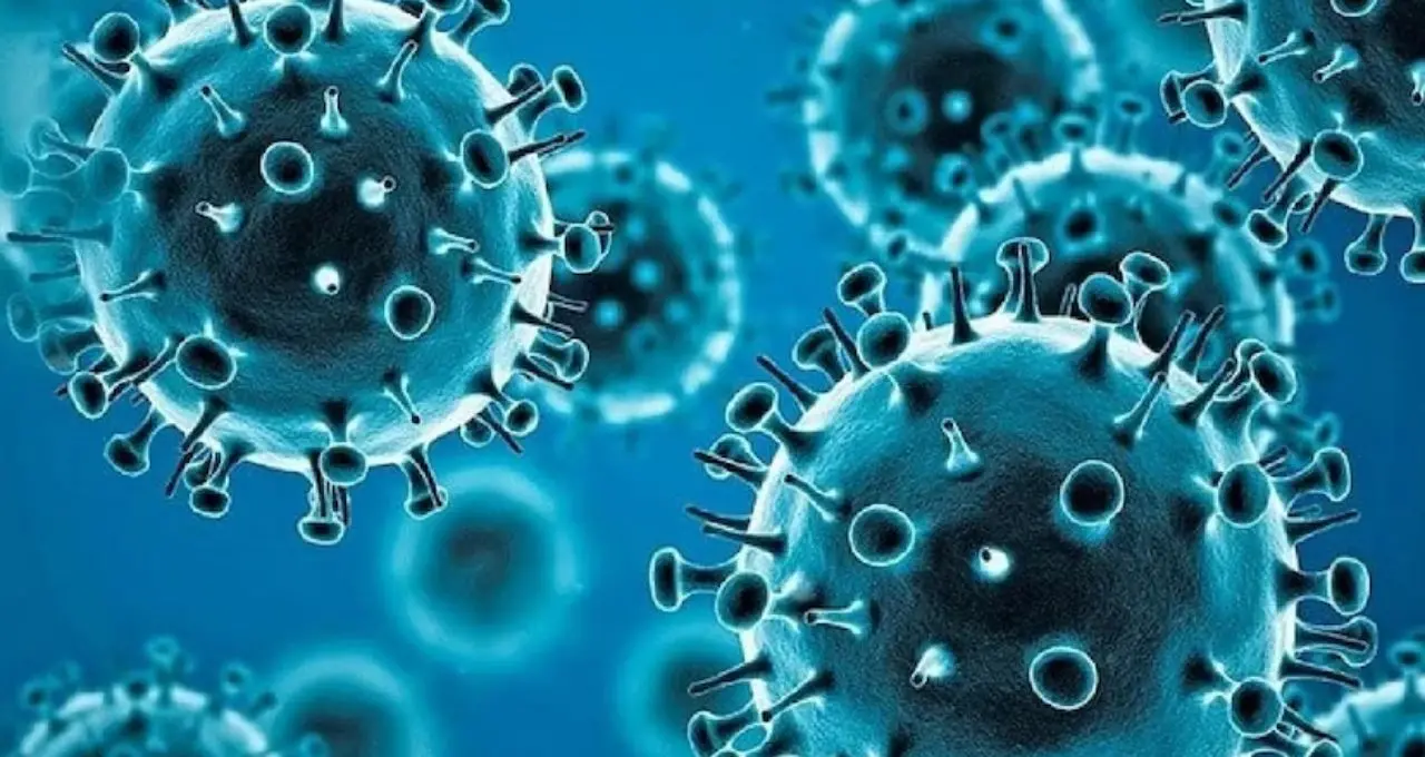 HIV চিকিৎসায় নতুন দিগন্ত! রোগপ্রতিরোধী কোষকেই ‘জীবন্ত অস্ত্র’ বানিয়ে সংক্রমণ দমনের আশার আলো দেখাল CAR-T থেরাপি
