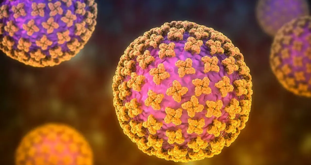 Ebola Virus Alert: ফের বিশ্বজুড়ে ইবোলা আতঙ্ক! WHO-র সতর্কবার্তার পর কতটা চিন্তায় ভারত?