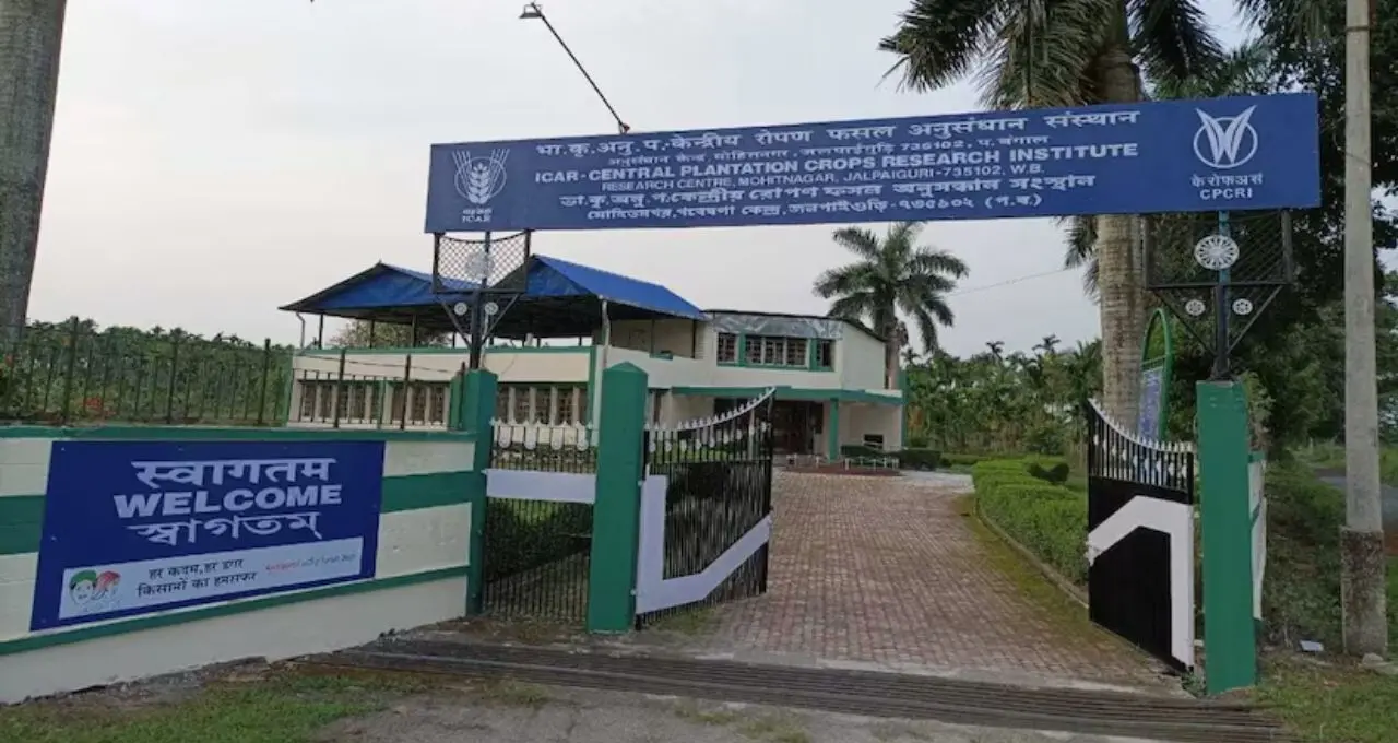 টাকা নেই? তবু শুরু করুন ব্যবসা! ক্ষুদ্র উদ্যোক্তাদের জন্য কেন্দ্রের বড় উদ্যোগ, মিলবে ৩৫% পর্যন্ত ভর্তুকি
