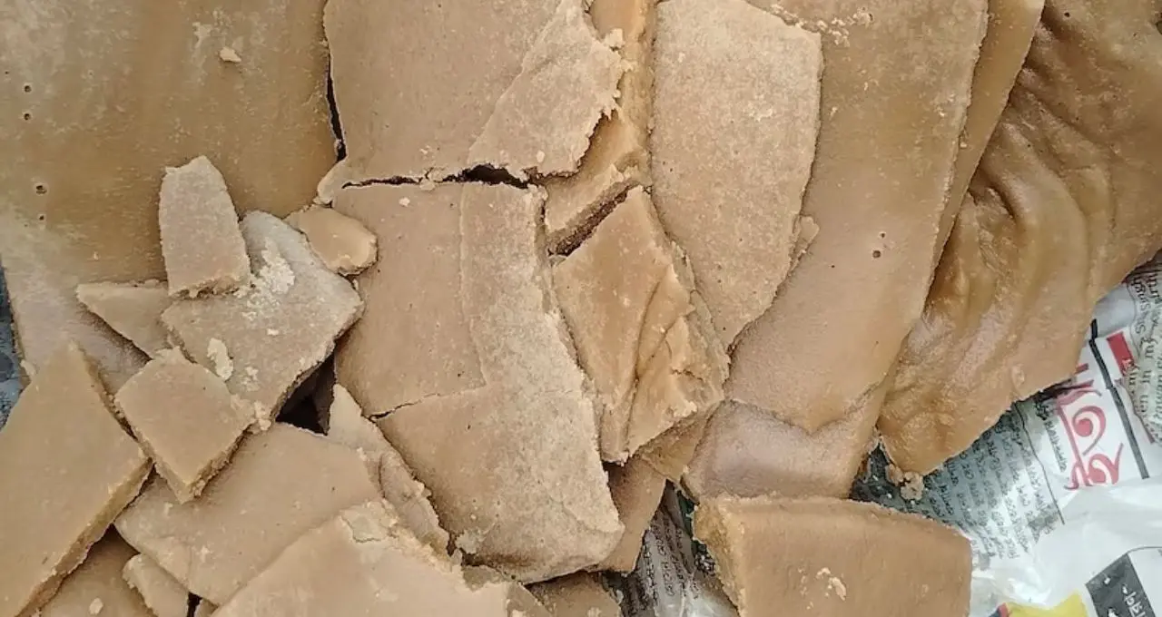 নলেন নয়, ডায়াবেটিসে ভরসা হতে পারে ‘তালের পাটালি’! কী বলছেন বিশেষজ্ঞরা?
