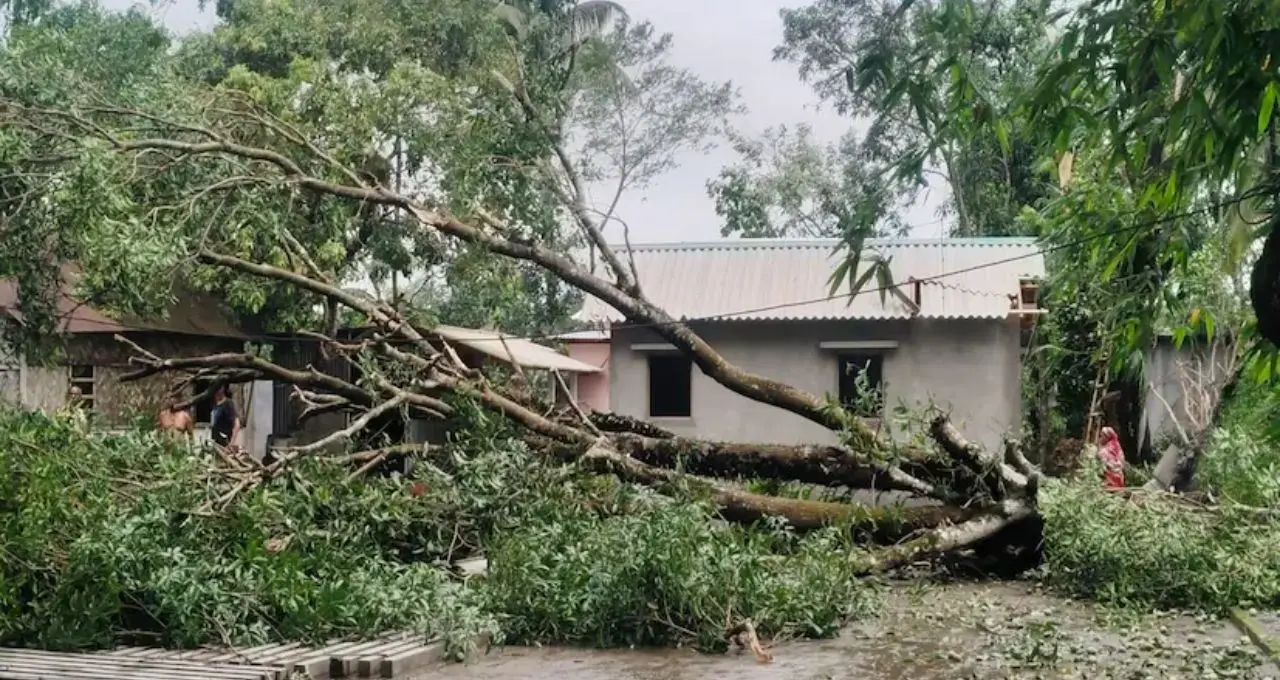 Jalpaiguri News: ভোররাতে কালবৈশাখীর তাণ্ডবে লণ্ডভণ্ড জলপাইগুড়ি! ক্ষতিগ্রস্ত শতাধিক বাড়ি, ব্যাহত ট্রেন চলাচল
