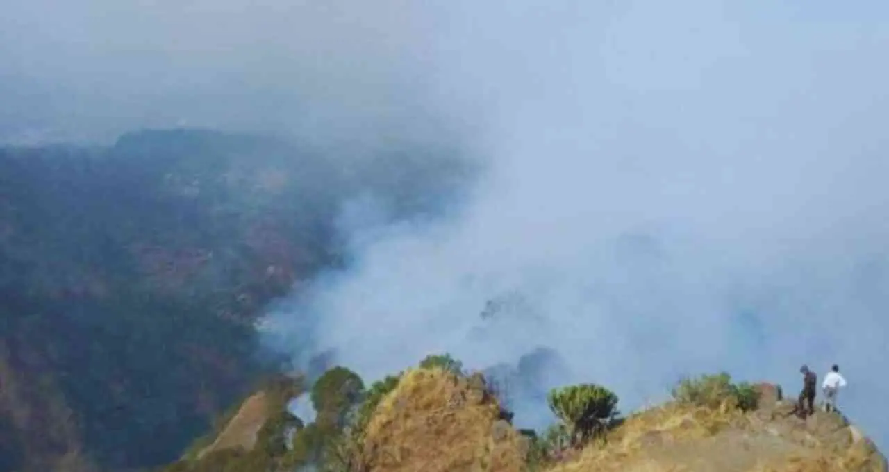 Himachal में जंगलों में भीषण आग, Kasauli एयरफोर्स स्टेशन के पास हेलीकॉप्टर से चला रेस्क्यू