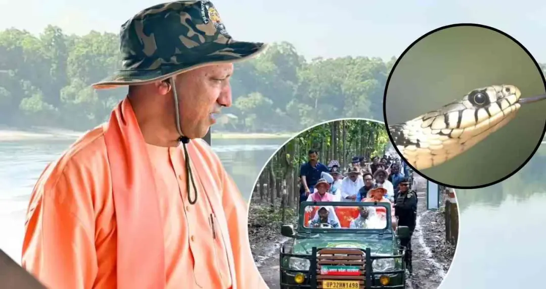 दुधवा में 117 साल बाद दिखा दुर्लभ सर्प, CM योगी ने जैव विविधता संरक्षण पर दिया संदेश